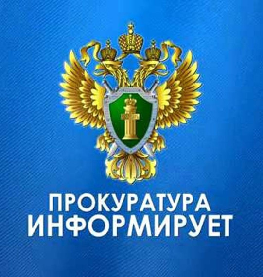 Ответственность за незаконную рубку лесных насаждений. Ответственность за незаконную рубку лесных насаждений.